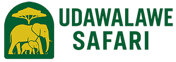 Udawalawe Safari